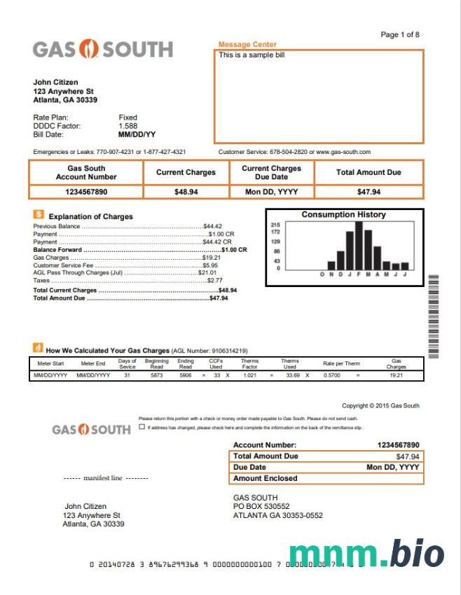 USA New York Gaz South rachunek za media szablon w formacie Word i PDF